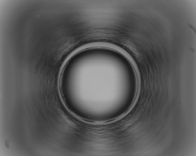 X0000092000411200709061244
