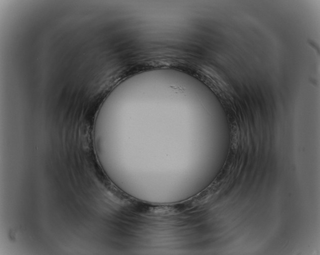 X0000092000414200709061244