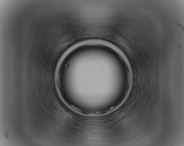 X0000092000415200709061244