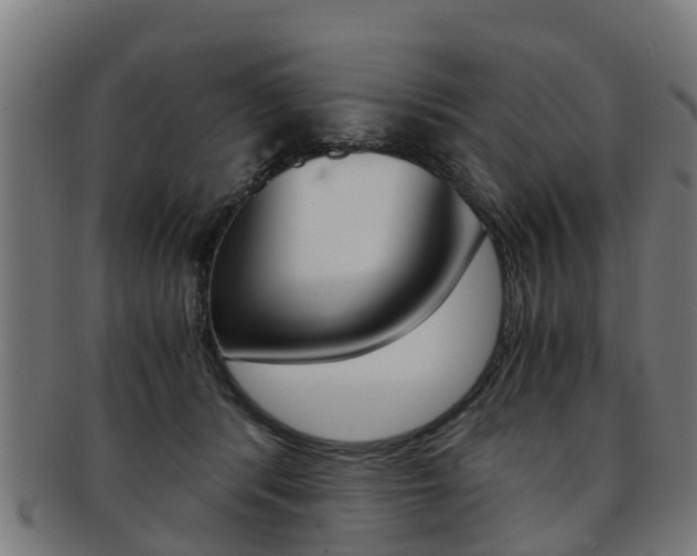 X0000092000416200709061244