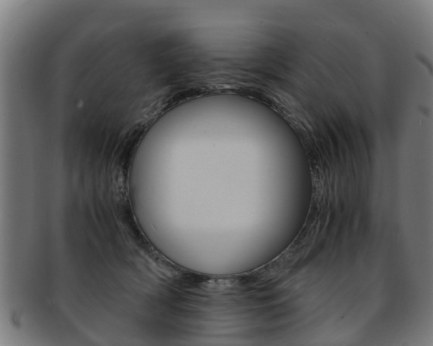 X0000092000418200709061244