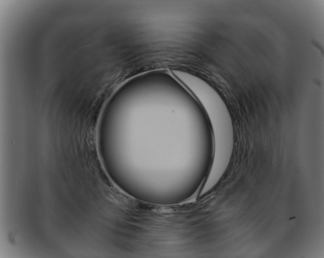 X0000092000419200709061244