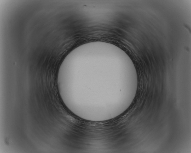 X0000092000420200709061244