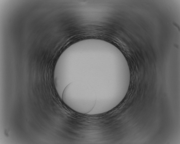 X0000092000421200709061244