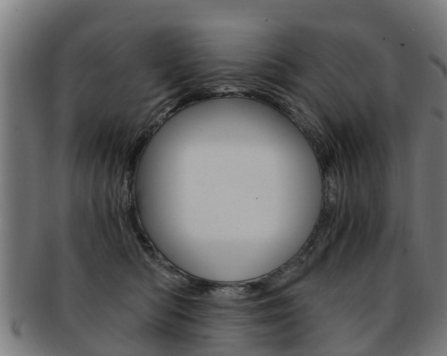 X0000092000422200709061244