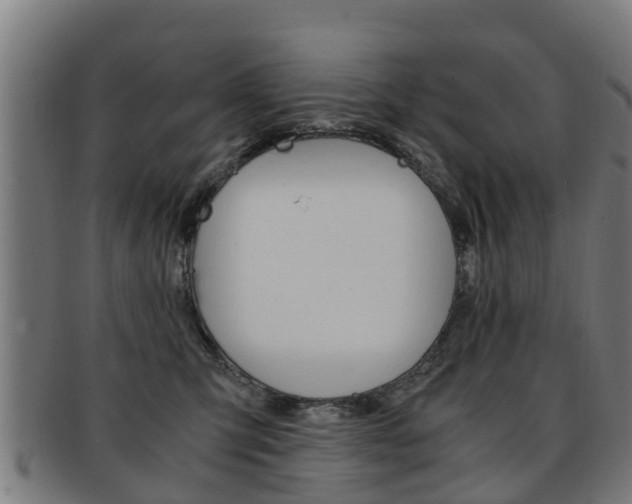 X0000092000423200709061244