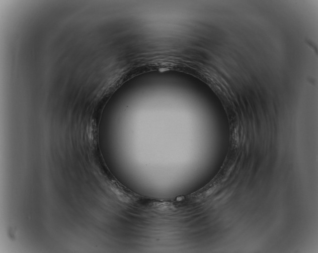 X0000092000424200709061244