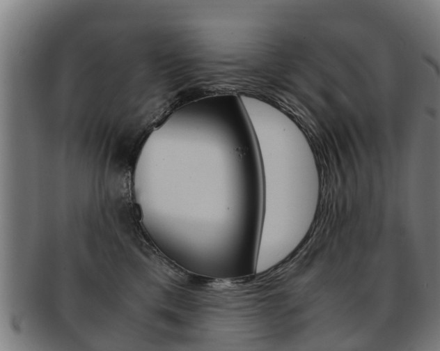 X0000092000425200709061244