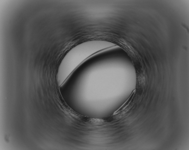 X0000092000429200709061244
