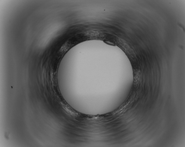 X0000092000430200709061244