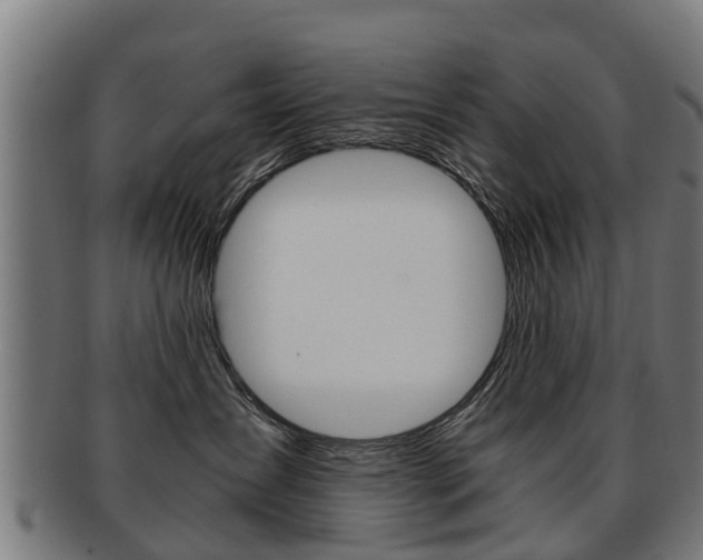 X0000092000431200709061244