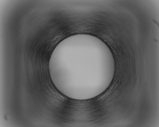 X0000092000432200709061244