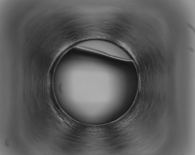 X0000092000435200709061243
