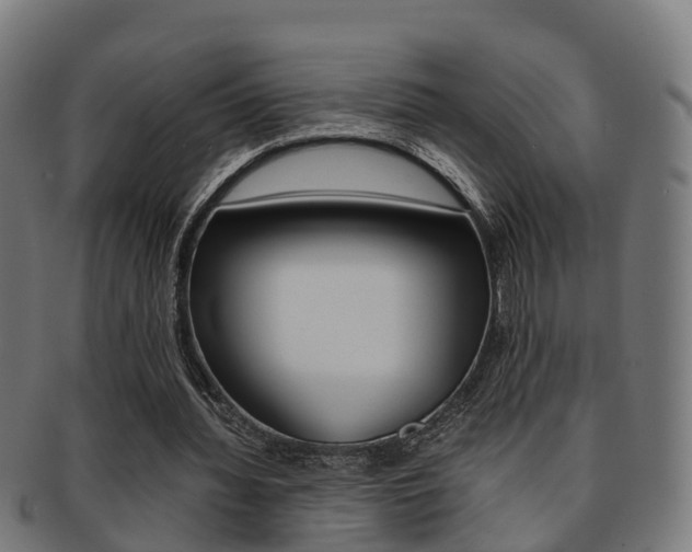 X0000092000436200709061243