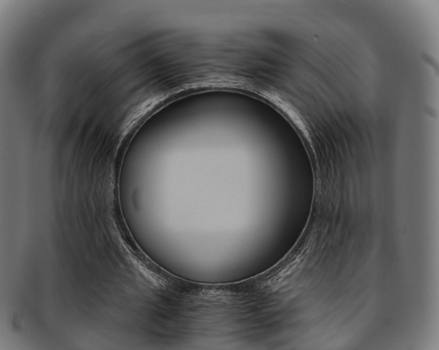 X0000092000437200709061243