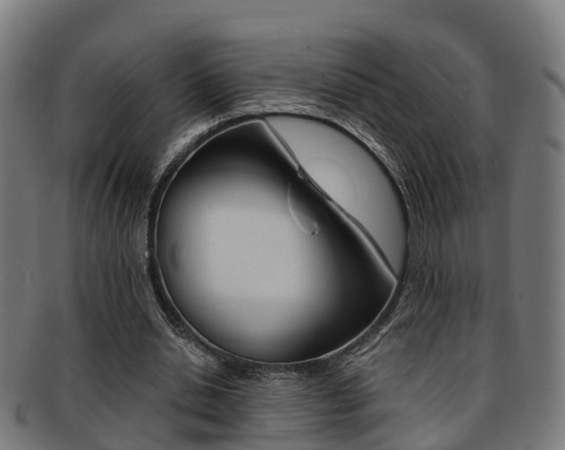 X0000092000438200709061243