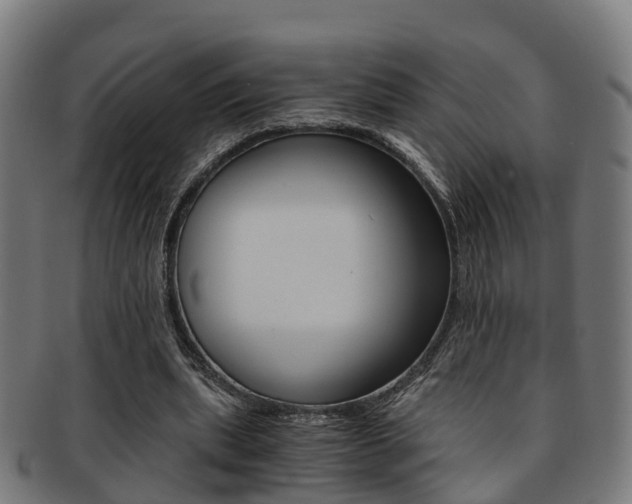 X0000092000439200709061243