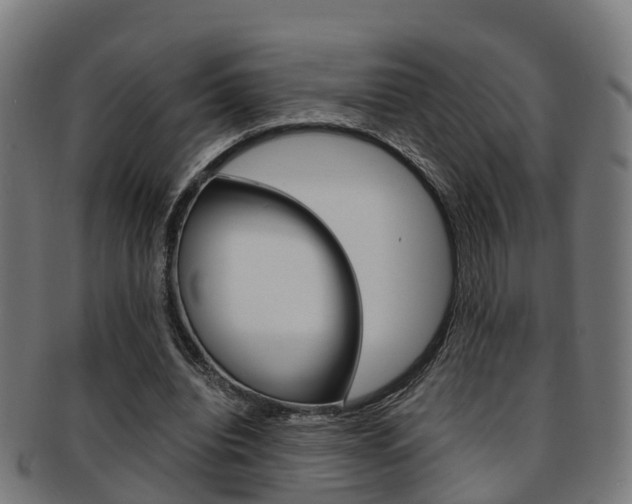 X0000092000440200709061243