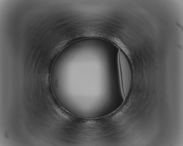 X0000092000441200709061243