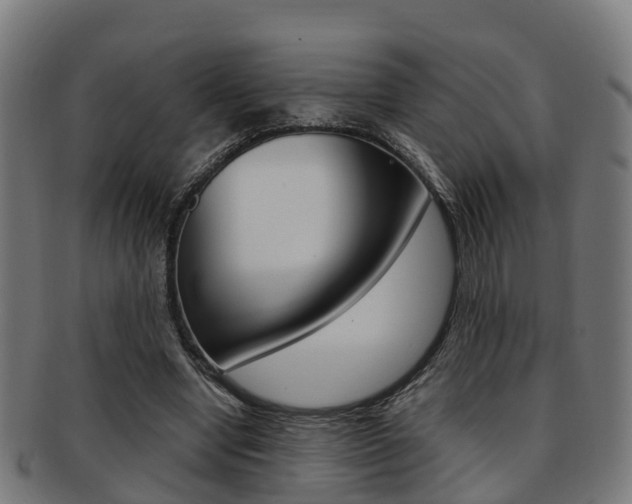 X0000092000442200709061243