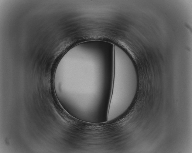 X0000092000443200709061243
