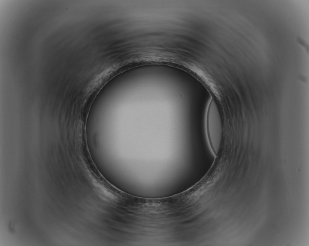 X0000092000445200709061243