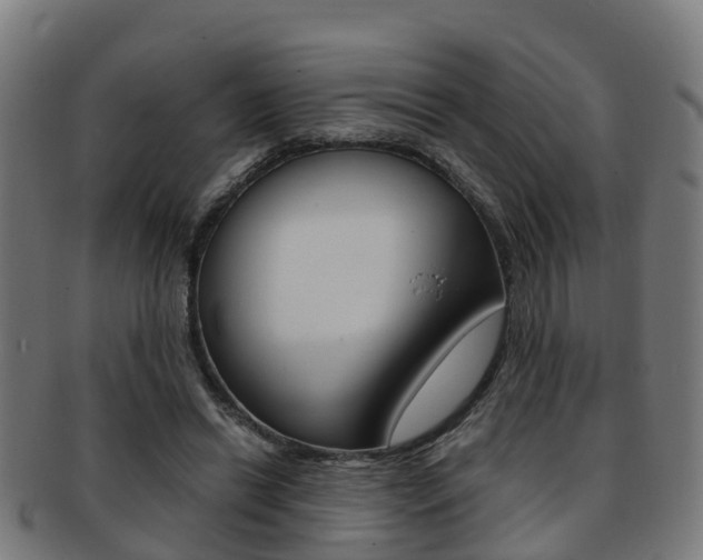X0000092000446200709061243
