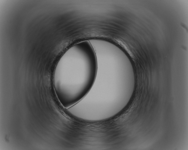X0000092000447200709061243