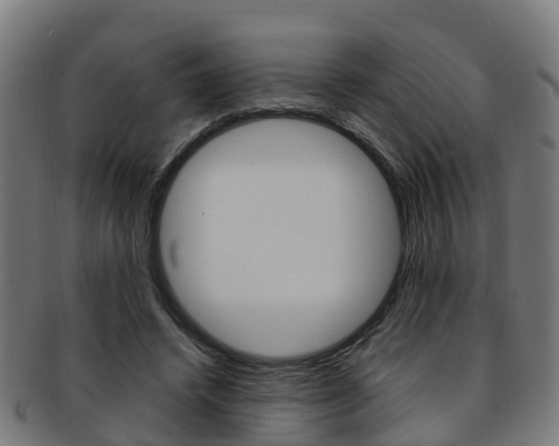 X0000092000448200709061243