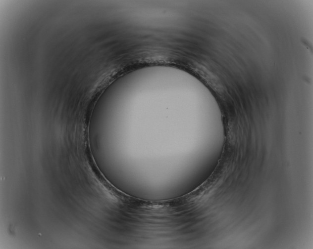 X0000092000449200709061243