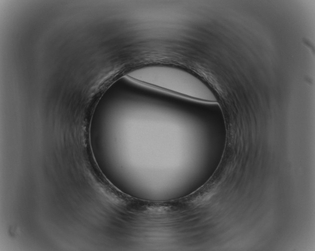 X0000092000450200709061243