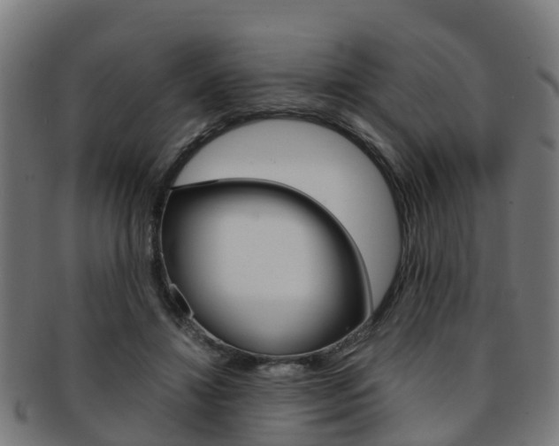 X0000092000452200709061243
