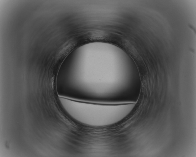X0000092000454200709061243