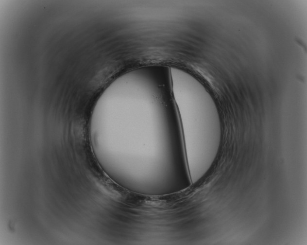X0000092000455200709061244