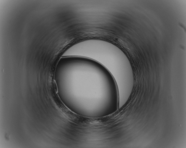 X0000092000456200709061244