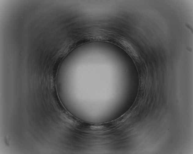 X0000092000457200709061244