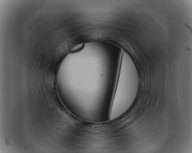 X0000092000458200709061244
