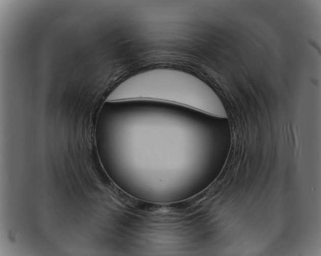 X0000092000460200709061244