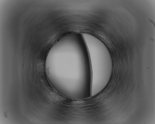 X0000092000461200709061244