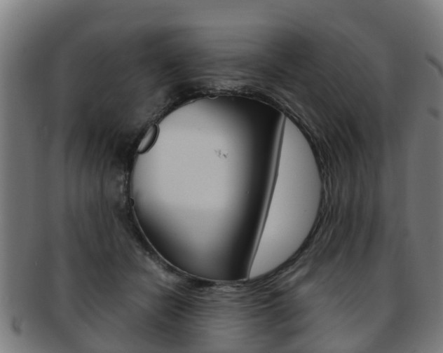 X0000092000462200709061244