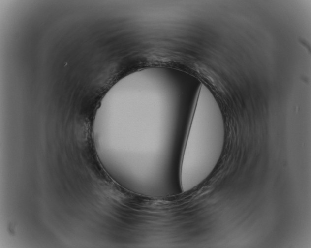 X0000092000463200709061244