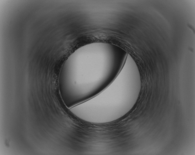 X0000092000464200709061244