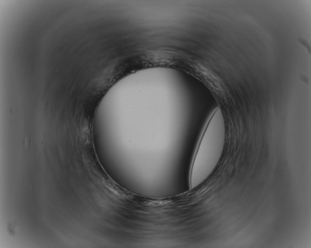 X0000092000465200709061244