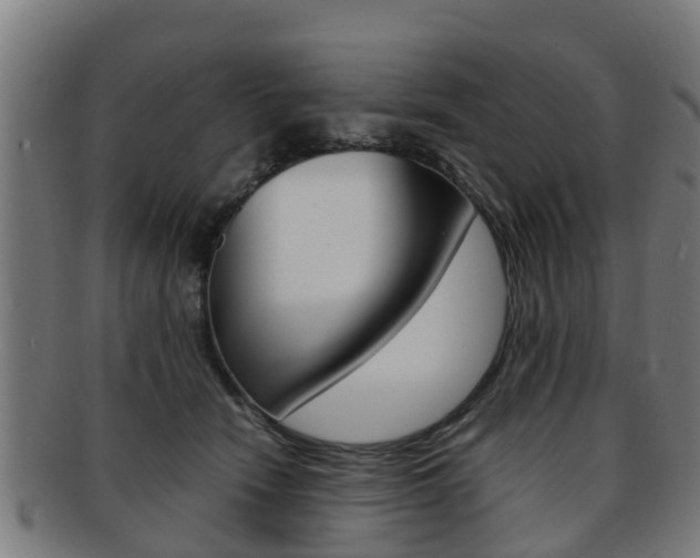 X0000092000466200709061244