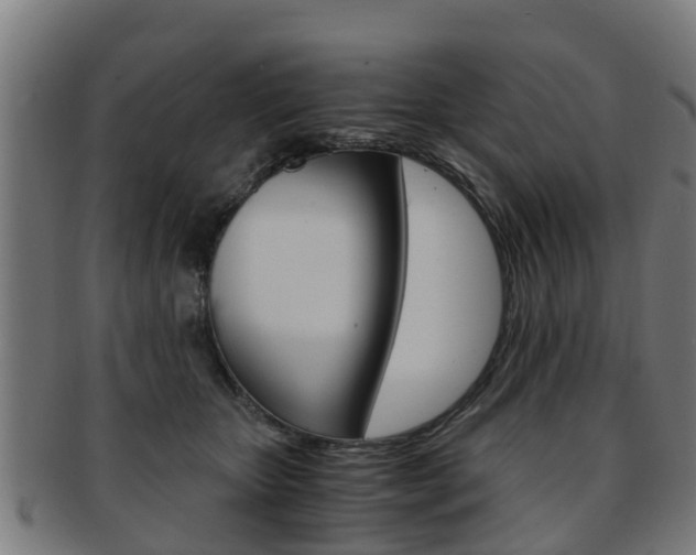 X0000092000467200709061244