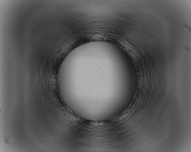 X0000092000469200709061244