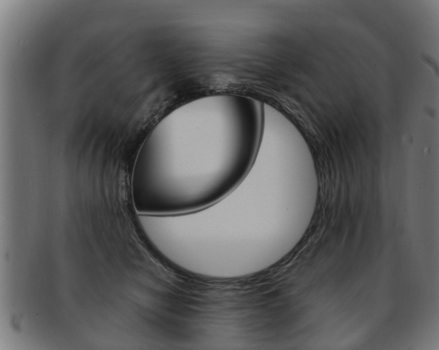 X0000092000470200709061244