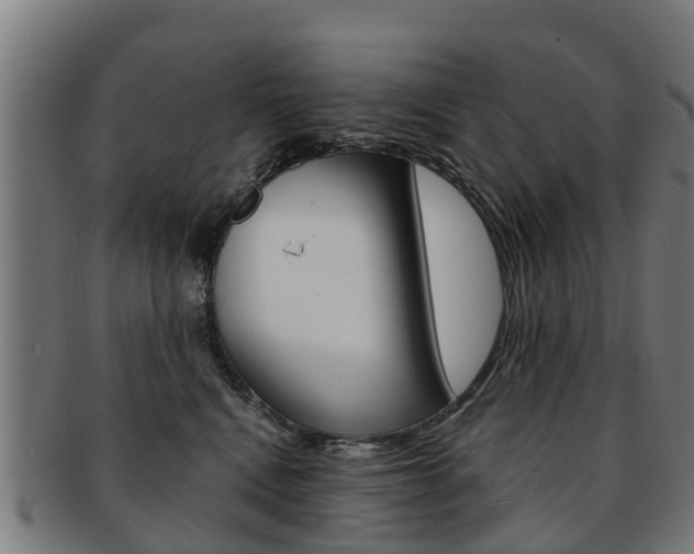 X0000092000472200709061244