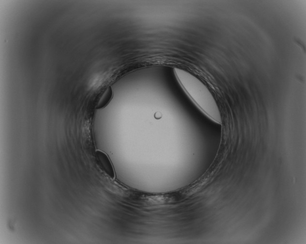 X0000092000473200709061244