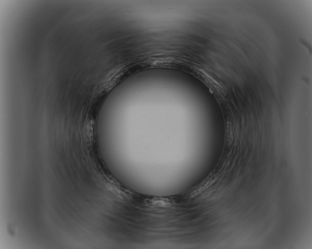 X0000092000475200709061244